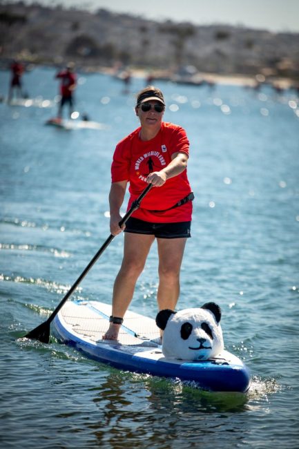 Panda Paddle World Wildlife Fund Panda head