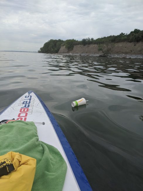 Shoreline A Greener Future Starboard cup in water